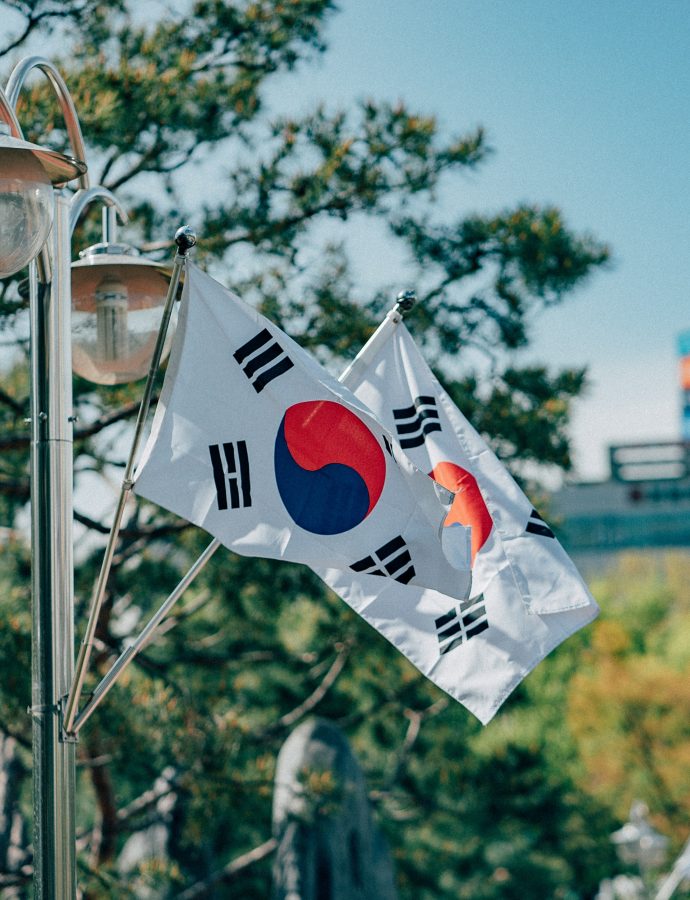 Dalla Corea con terrore